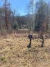 62 River Club Drive sold home in Cullowhee, SC