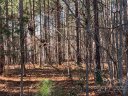 129 Water Oak Way 36 sold home in Mount Gilead, SC