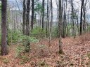 0000 Rocky Ridge Road 52 B sold home in Sapphire, SC
