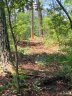 3 42 Acres Lot 1 John Wilson Lane sold home in Collettsville, SC