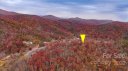 82 Davey Crockett Road sold home in Fairview, SC