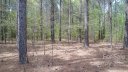 6307 Highway 205 Highway sold home in Marshville, SC