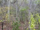 12 Bayonne Trail sold home in Asheville, SC