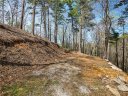 15 Beech Tree Lane 9 sold home in Asheville, SC
