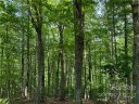 4171 French Broad Parkway 59 sold home in Marshall, SC