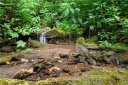 15 Mountain Mint Drive sold home in Swannanoa, SC