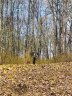 Lot 83r Firesong Lane sold home in Glenville, SC