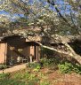 450 Crowfields Drive sold home in Asheville, SC