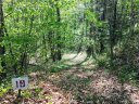 19 Trillium Lane sold home in Mars Hill, SC