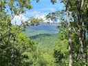 11 Hickory Top Lane 94 sold home in Asheville, SC