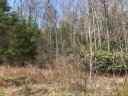 0 Firefly Trail sold home in Marshall, SC
