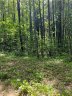 000 North Pointe Drive LOT #6 sold home in Zirconia, SC