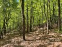 Lot J 103 Mulberry Circle J-103 sold home in Brevard, SC