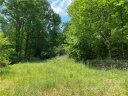 292 Gobbler Circle 16 sold home in Horse Shoe, SC