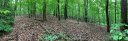 00 Valley View Drive 104 sold home in Bostic, SC