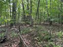 235 Ravenwood Lane sold home in Horse Shoe, SC