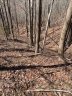 73 Mountain Lookout Drive sold home in Bostic, SC