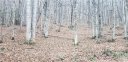 00 The High Road sold home in Waynesville, SC