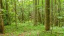 99999 Tbd Ridge Top Road sold home in Pisgah Forest, SC