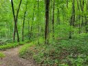 Lot 42 Autumn Sky Drive sold home in Hendersonville, SC