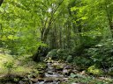 1455 Reservation Road 86D sold home in Maggie Valley, SC
