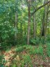 12534 Preservation Pointe Drive sold home in Charlotte, SC
