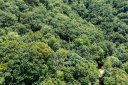 Lot 229 N Poplar Court sold home in Lake Lure, SC