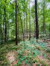 00 Twin Creek Drive 61 sold home in Troutman, SC