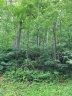 00 Rising Sun Road 88 and 89 sold home in Mars Hill, SC