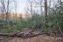 44 Acre Sparkling Lake Drive sold home in Hendersonville, SC