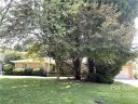 223 Balsam Road sold home in Hendersonville, SC