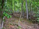 0000 Cedar Drive Lot 273 sold home in Mills River, SC