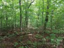 0000 Little Falls Drive 612 sold home in Tryon, SC