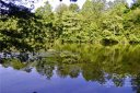 0 Shepherds Creek Circle sold home in Rutherfordton, SC