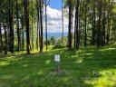 0000 East Garden Trail Lot 10 sold home in Hendersonville, SC