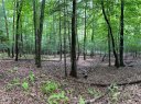 Tbd Aberdeen Lane 667 and 668 sold home in Pisgah Forest, SC