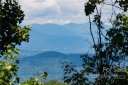1043 Moss Creek Lane 69 sold home in Swannanoa, SC