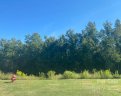4016 Hereford Lane sold home in Dallas, SC