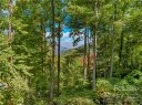 1332 Daydream Ridge LOT 67 sold home in Swannanoa, SC