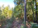260 Sycamore Drive 44-12 sold home in Nebo, SC