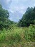 99999 Watsell Drive sold home in Leicester, SC