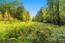 1601 Charlotte Highway 4 sold home in York, SC
