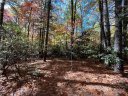 Tbd Hemlock Ridge Trail 1 sold home in Pisgah Forest, SC