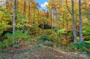 Tbd Mountain Grove Lane 40 sold home in Fletcher, SC