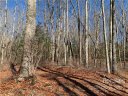 8 Lot Pkg Galax Lane sold home in Brevard, SC