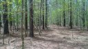 6409 Highway 205 Highway 10 sold home in Marshville, SC
