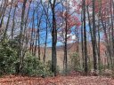 Lot 26 Ridge Trail Drive sold home in Balsam Grove, SC