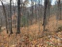000 Wildwood Drive 32,33,34,35 sold home in Burnsville, SC