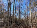 275 Shannons Walk sold home in Lake Lure, SC
