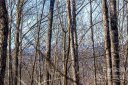 Lot 161 Ridge Stone Lane sold home in Lenoir, SC